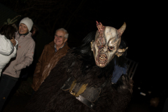 Photo by Sascha Fiala