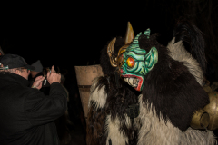 Photo by Sascha Fiala