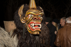 Photo by Sascha Fiala