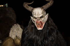 Photo by Sascha Fiala