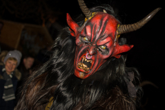 Photo by Sascha Fiala