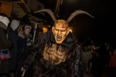 Photo by Sascha Fiala