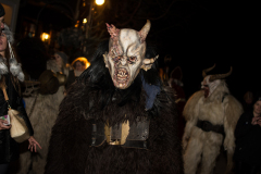 Photo by Sascha Fiala