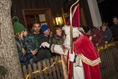 Photo by Sascha Fiala