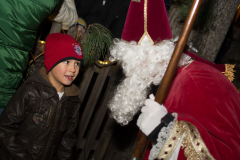 Photo by Sascha Fiala