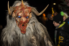 Photo by Sascha Fiala