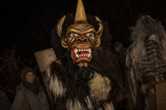 Photo by Sascha Fiala