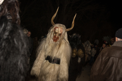 Photo by Sascha Fiala