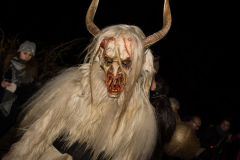 Photo by Sascha Fiala