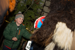 Photo by Sascha Fiala