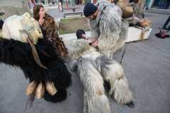 Photo by Sascha Fiala