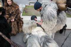 Photo by Sascha Fiala