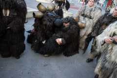 Photo by Sascha Fiala