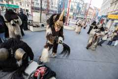 Photo by Sascha Fiala