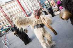 Photo by Sascha Fiala