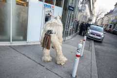 Photo by Sascha Fiala