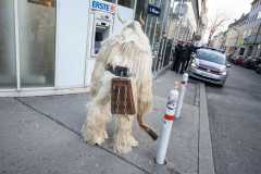 Photo by Sascha Fiala