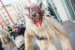 Photo by Sascha Fiala