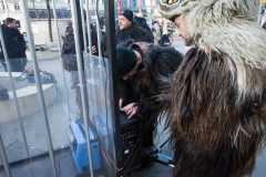 Photo by Sascha Fiala