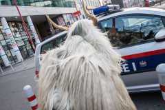 Photo by Sascha Fiala