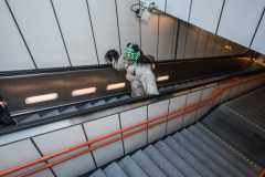 Photo by Sascha Fiala