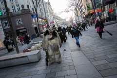 Photo by Sascha Fiala