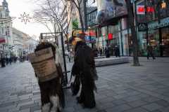 Photo by Sascha Fiala