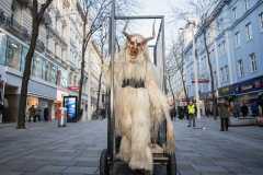 Photo by Sascha Fiala