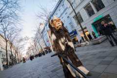 Photo by Sascha Fiala