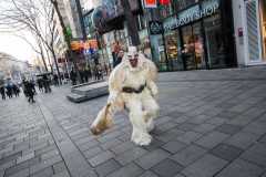 Photo by Sascha Fiala