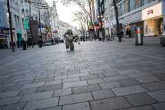 Photo by Sascha Fiala