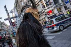 Photo by Sascha Fiala