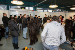 Photo by Sascha Fiala