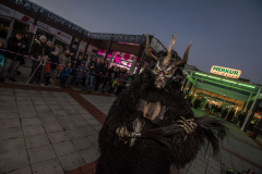 Photo by Sascha Fiala