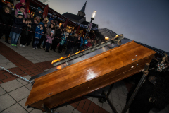 Photo by Sascha Fiala