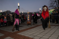 Photo by Sascha Fiala