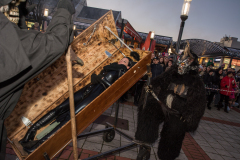 Photo by Sascha Fiala