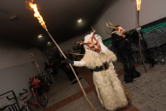 Photo by Sascha Fiala