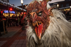 Photo by Sascha Fiala