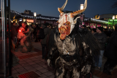 Photo by Sascha Fiala