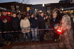 Photo by Sascha Fiala