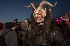 Photo by Sascha Fiala