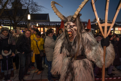 Photo by Sascha Fiala