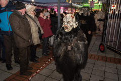 Photo by Sascha Fiala