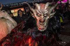 Photo by Sascha Fiala