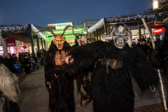 Photo by Sascha Fiala