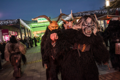 Photo by Sascha Fiala