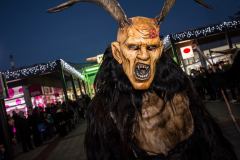 Photo by Sascha Fiala