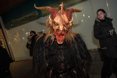 Photo by Sascha Fiala