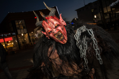 Photo by Sascha Fiala